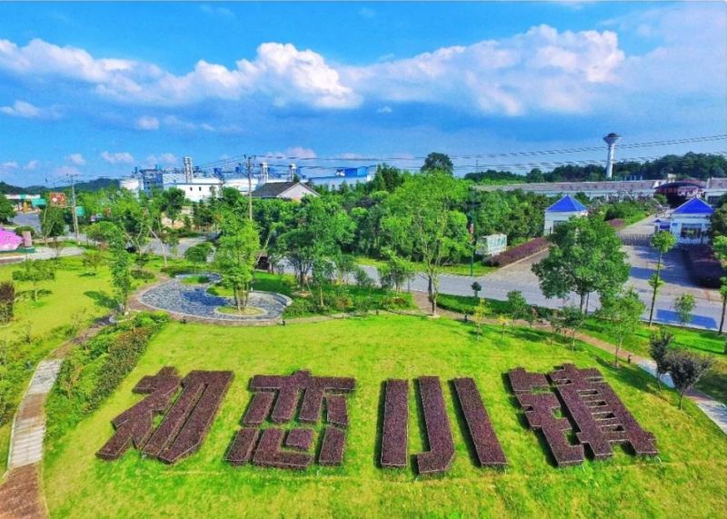 长沙县开慧镇:以人才振兴推动乡村振兴