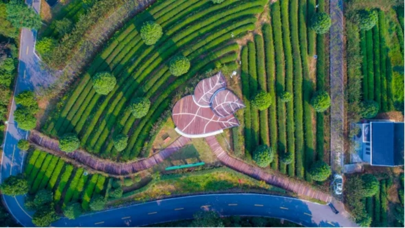 长沙县金井镇：红色引领 点绿成金